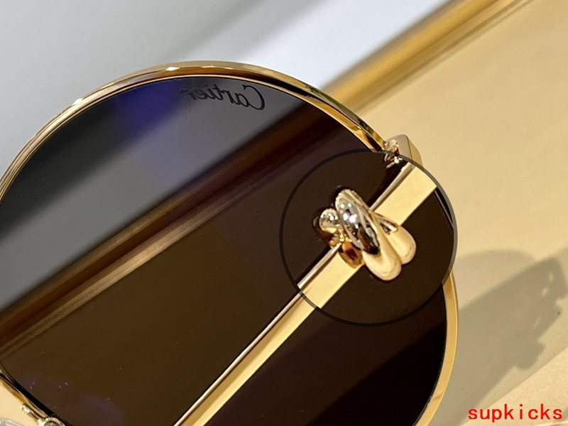 Angled view of Cartier unisex sunglasses