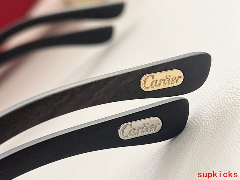 Side view of Cartier unisex sunglasses