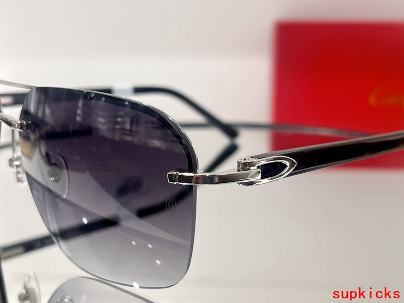 Front view of Cartier unisex sunglasses