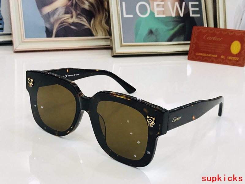 Lifestyle view of Cartier unisex sunglasses
