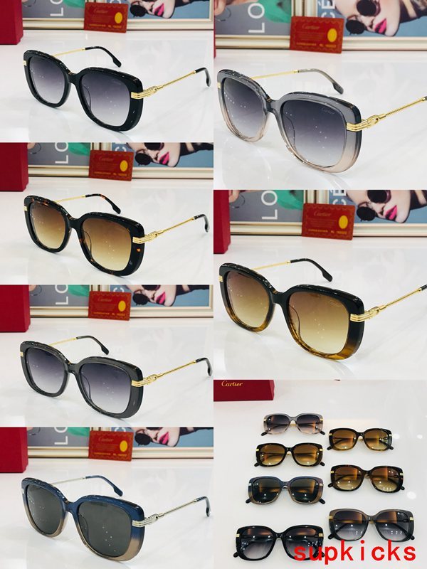Lifestyle view of Cartier unisex sunglasses