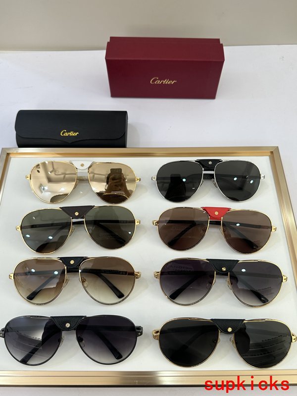 Lifestyle view of Cartier unisex sunglasses