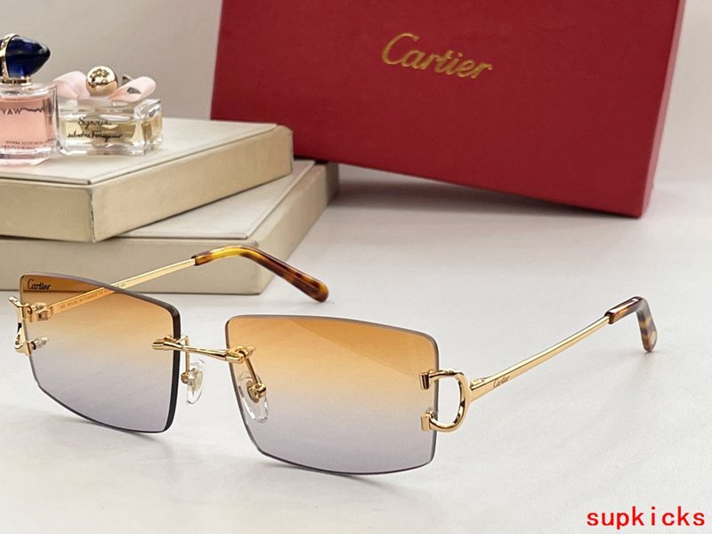 Close-up detail view of Cartier unisex sunglasses