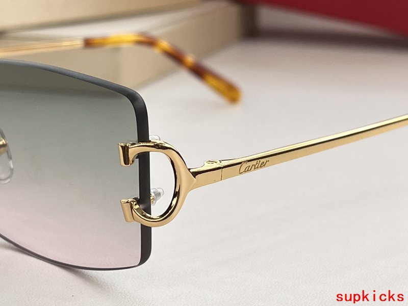 Close-up detail view of Cartier unisex sunglasses