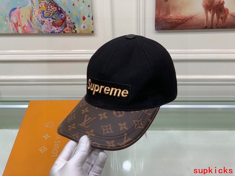 Full view of Louis Vuitton unisex cap