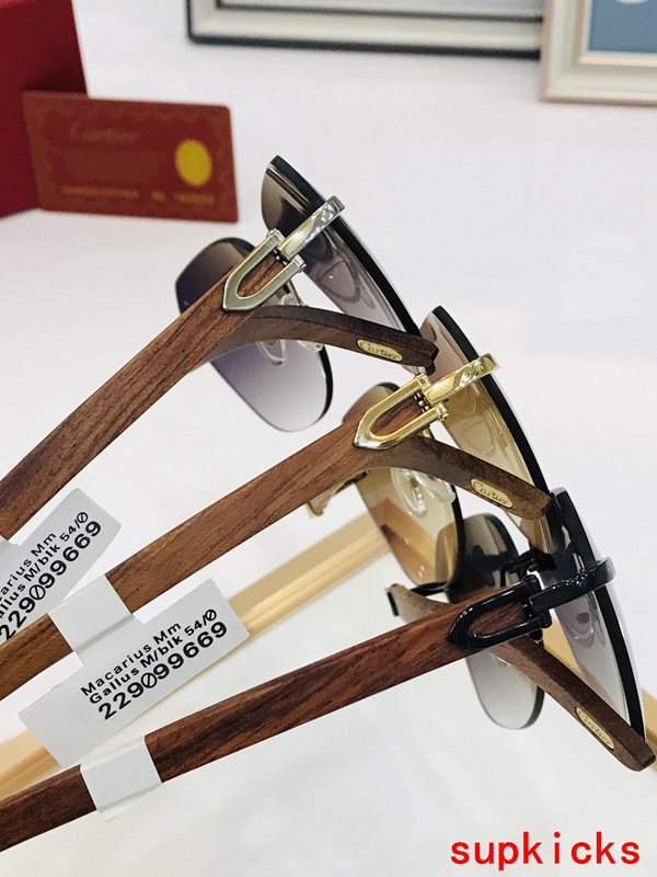 Front view of Cartier unisex sunglasses