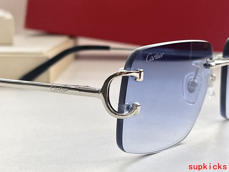 Side view of Cartier unisex sunglasses