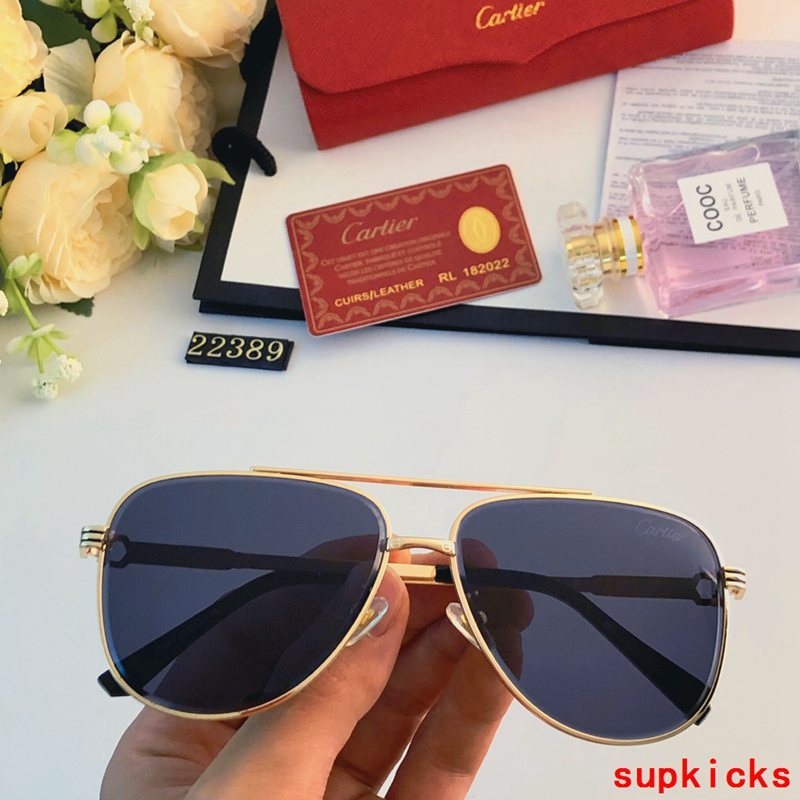 Side view of Cartier unisex sunglasses