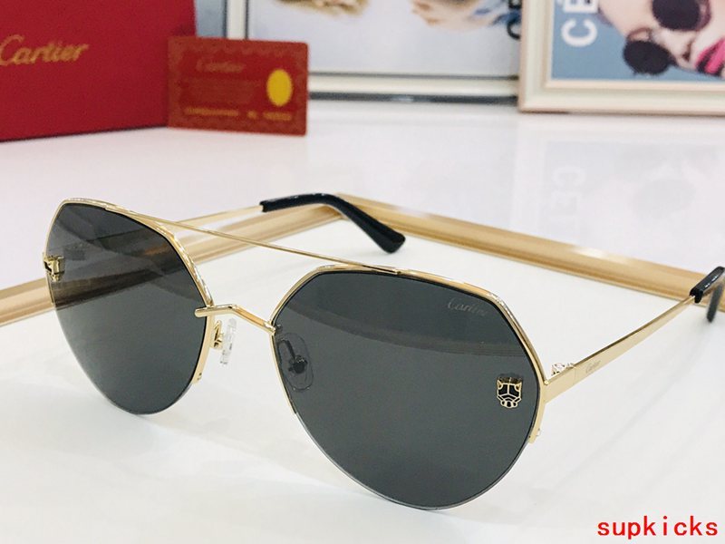 Full view of Cartier unisex sunglasses