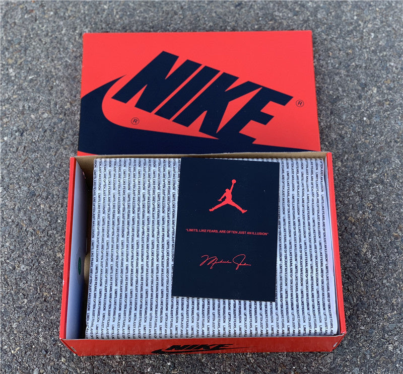 Nike Streetwear sneakers in two-tone sleek tonal finish front view