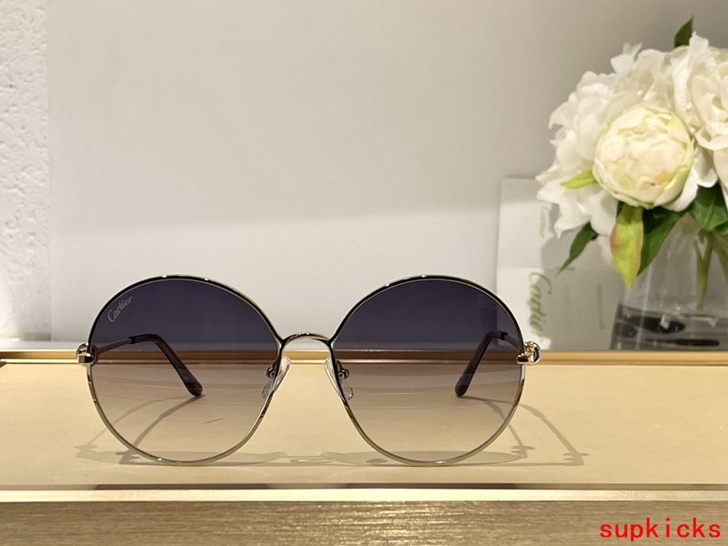 Close-up detail view of Cartier unisex sunglasses