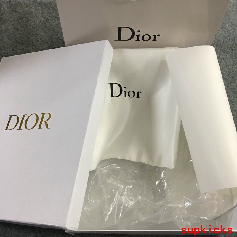 Dior shoes Style 018 - styled lifestyle view (alternate angle)