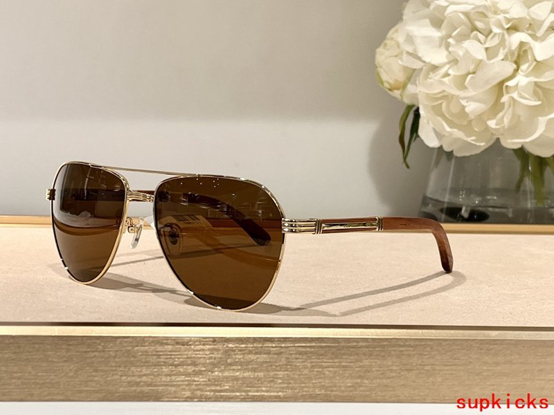 Side view of Cartier unisex sunglasses