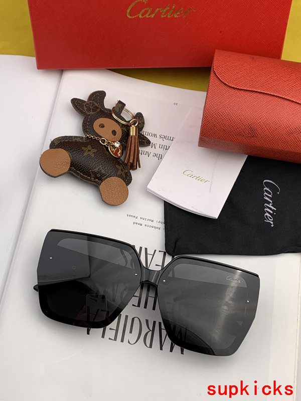 Full view of Cartier unisex sunglasses
