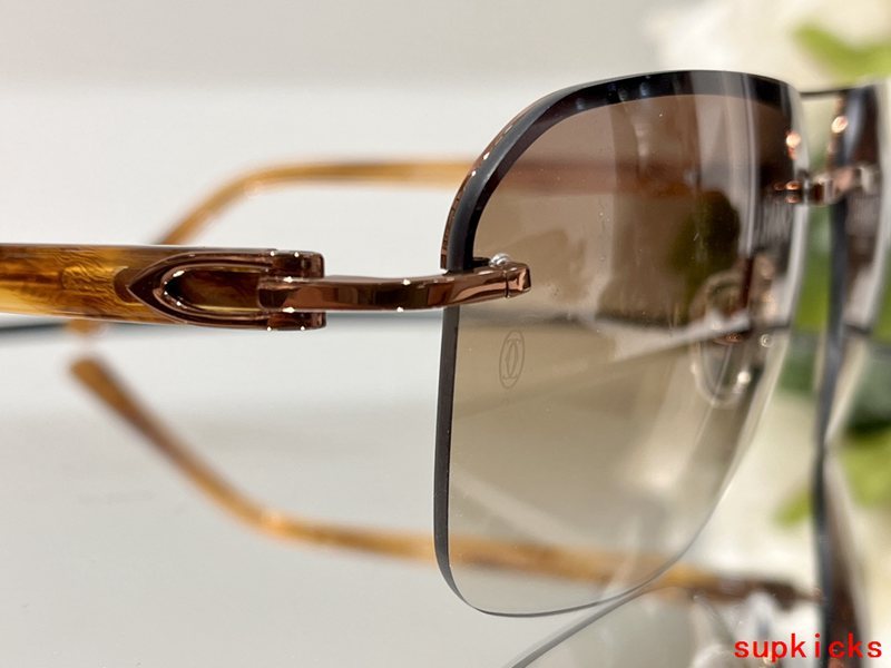 Side view of Cartier unisex sunglasses