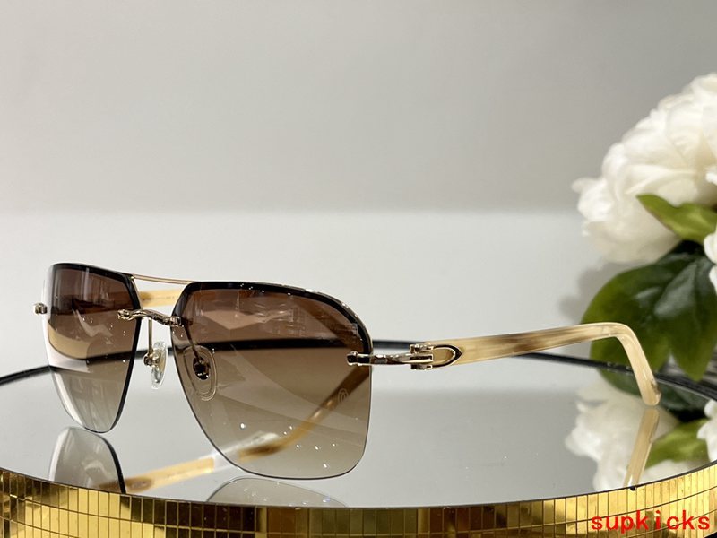 Front view of Cartier unisex sunglasses