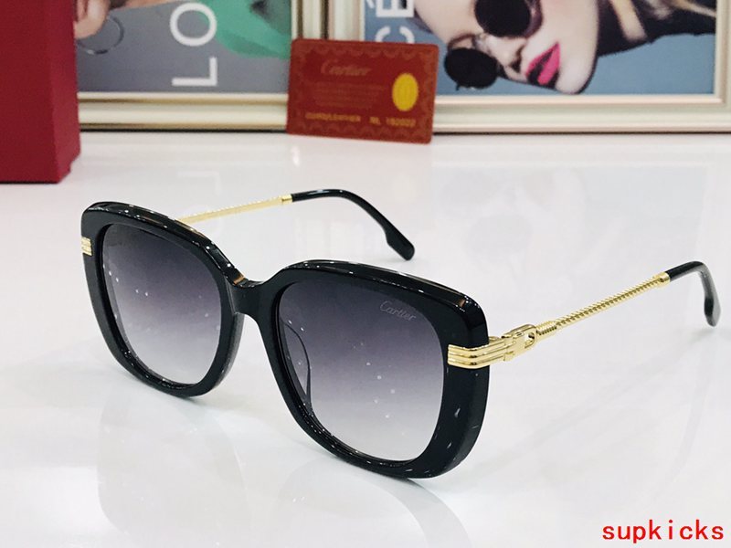 Front view of Cartier unisex sunglasses