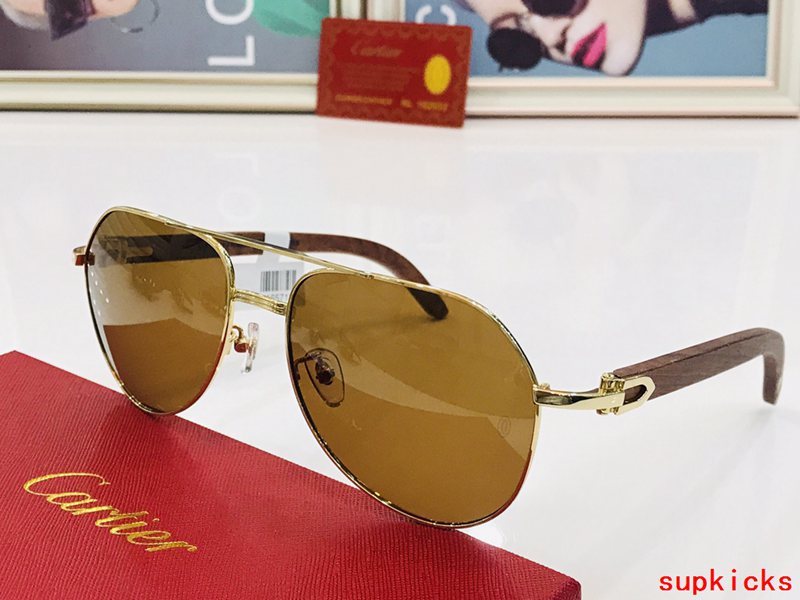 Close-up detail view of Cartier unisex sunglasses