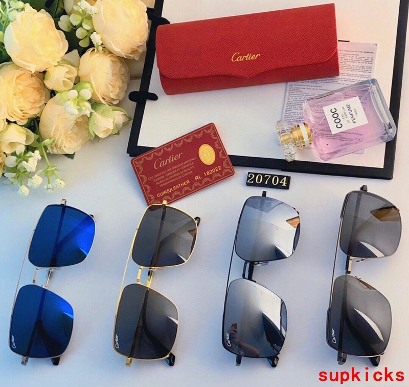 Side view of Cartier unisex sunglasses