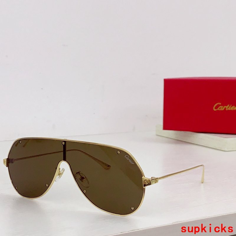 Angled view of Cartier unisex sunglasses