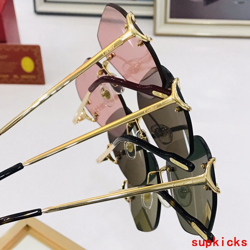 Full view of Cartier unisex sunglasses