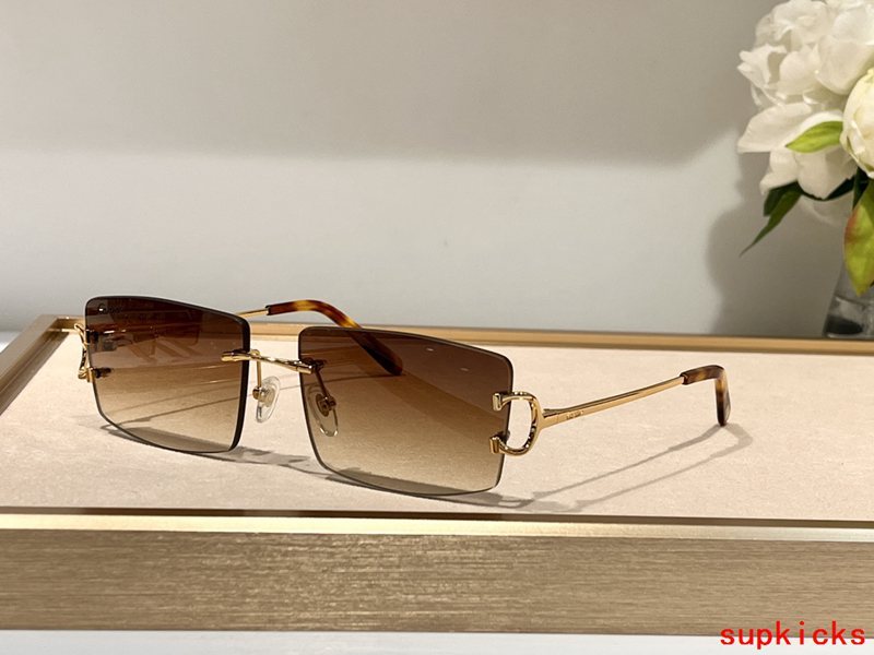 Angled view of Cartier unisex sunglasses