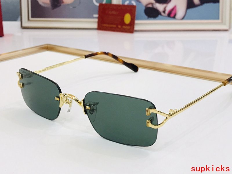 Front view of Cartier unisex sunglasses