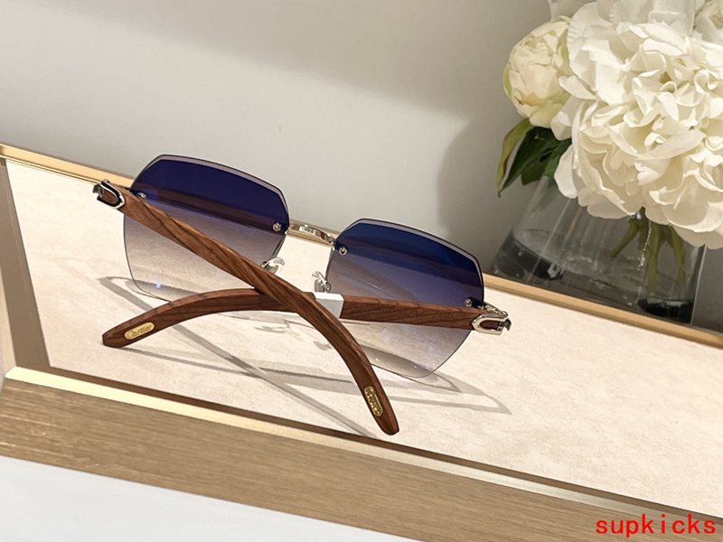 Side view of Cartier unisex sunglasses