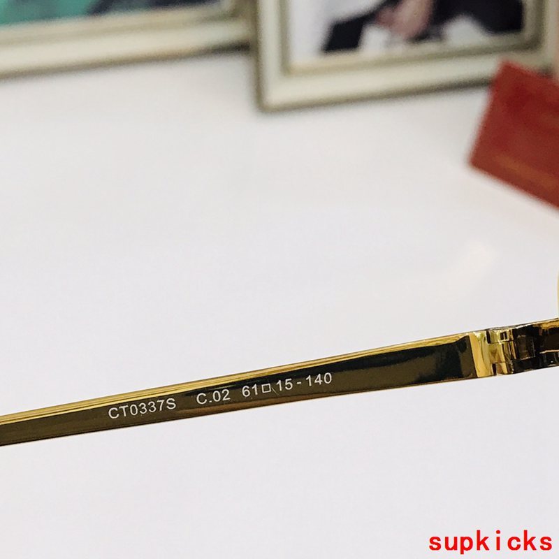Side view of Cartier unisex sunglasses