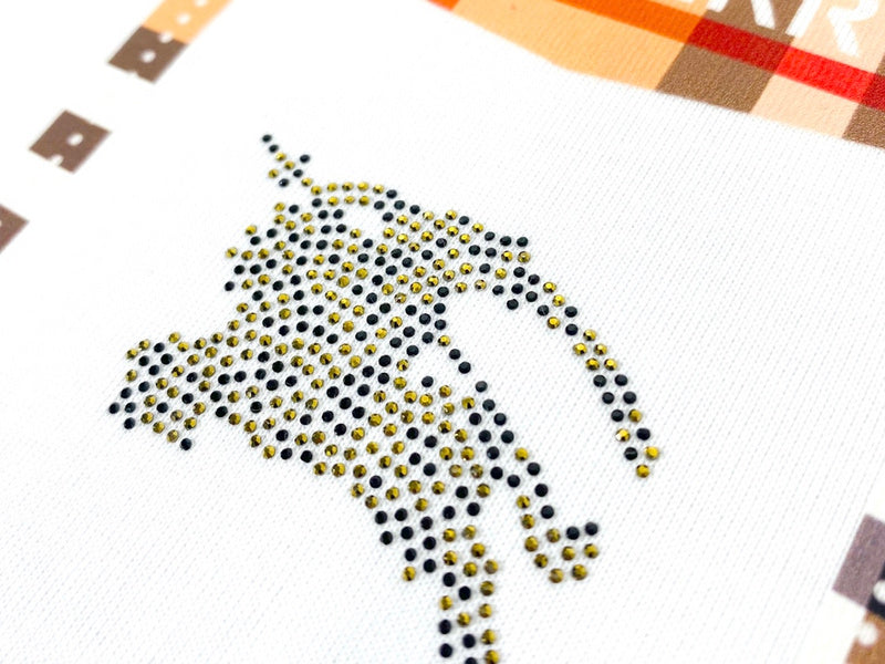 Burberry t-shirt angled view — premium authentic designer style