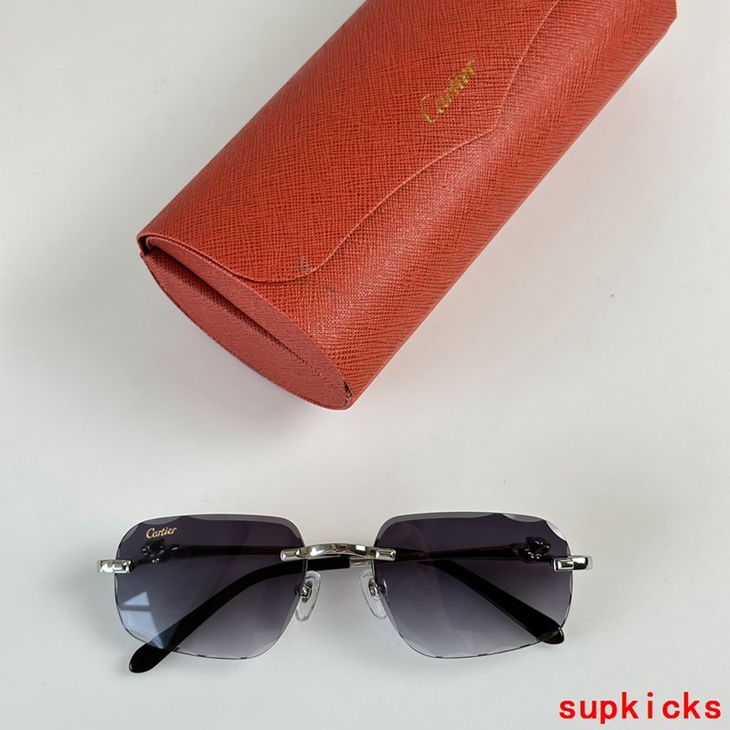 Side view of Cartier unisex sunglasses