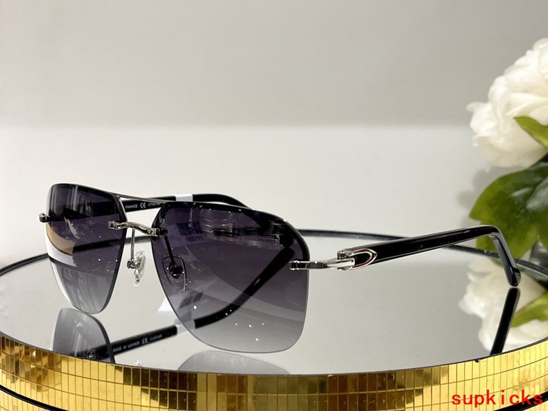 Side view of Cartier unisex sunglasses