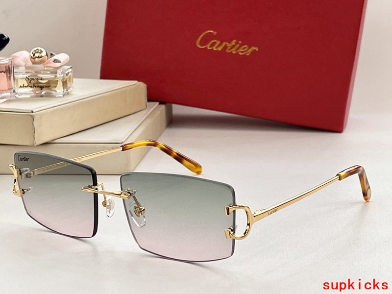 Lifestyle view of Cartier unisex sunglasses