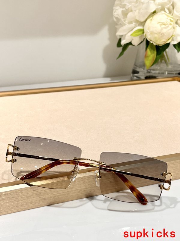 Angled view of Cartier unisex sunglasses