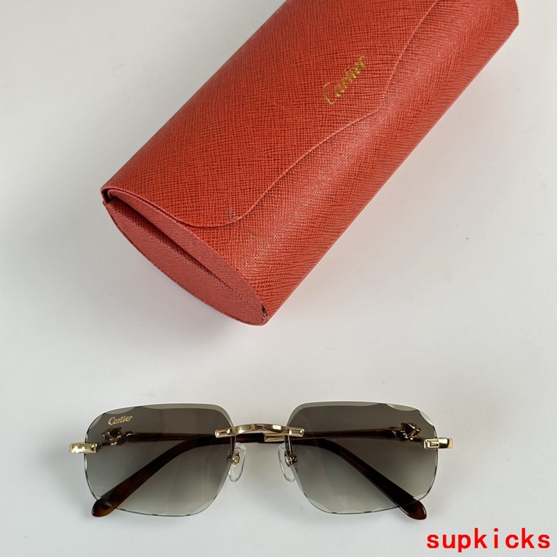 Front view of Cartier unisex sunglasses