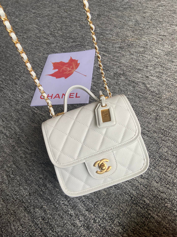 Zivas Charm Polished Finish Designer Handbag (Effortless Style Upgrade) – Front View