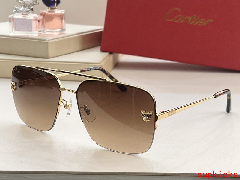 Side view of Cartier unisex sunglasses