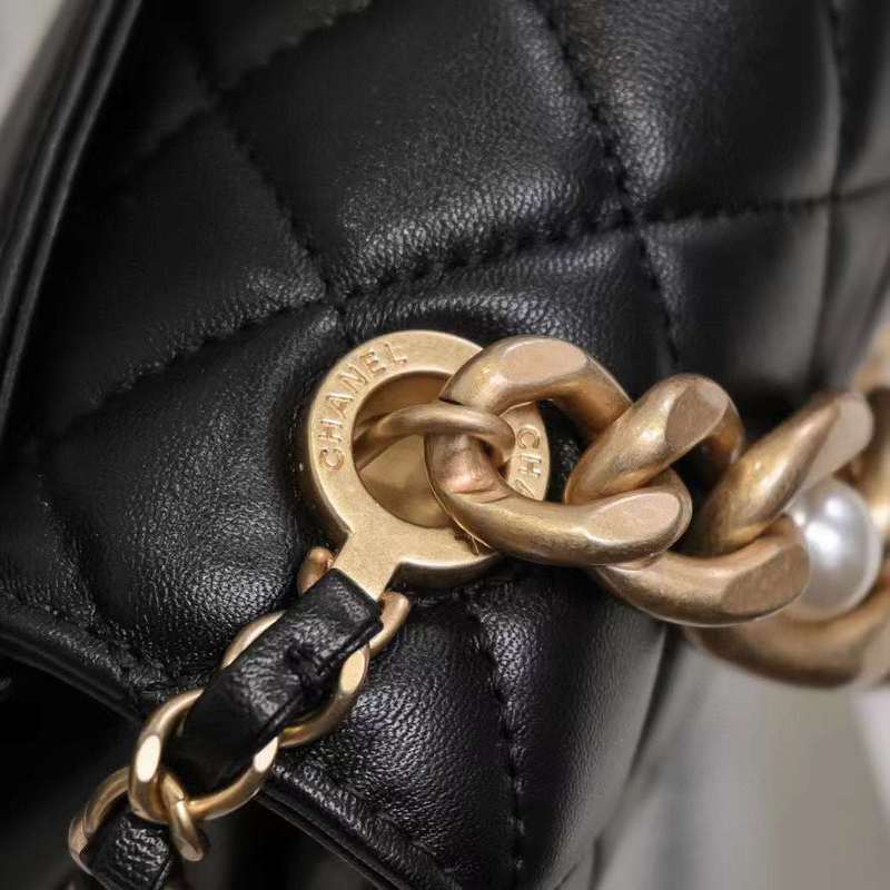 Zivas Charm Polished Finish Fashion Handbag (Designer-Inspired Craftsmanship) – Back View