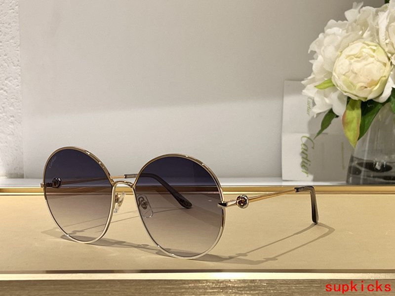 Full view of Cartier unisex sunglasses