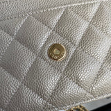 Zivas Charm Classic Sensibility Fashion Handbag (Considered Detail & Form) – Back View