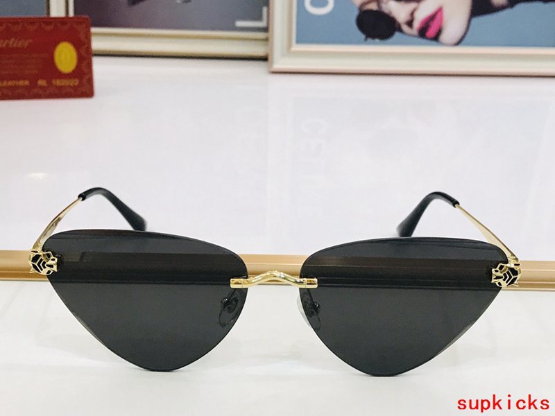 Front view of Cartier unisex sunglasses