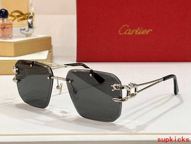 Front view of Cartier unisex sunglasses