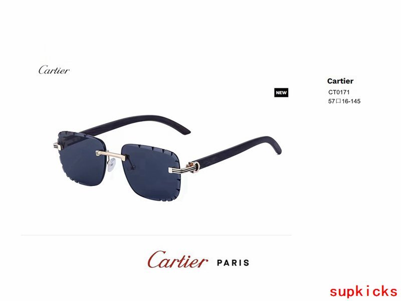 Full view of Cartier unisex sunglasses