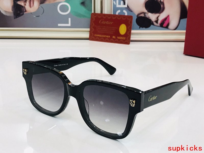 Full view of Cartier unisex sunglasses
