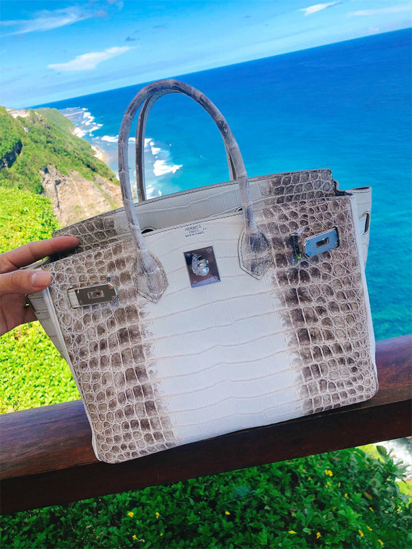  structured bag interior and compartment view 9