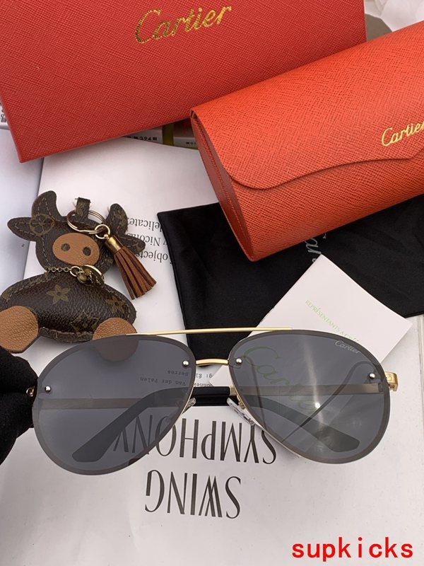 Full view of Cartier unisex sunglasses