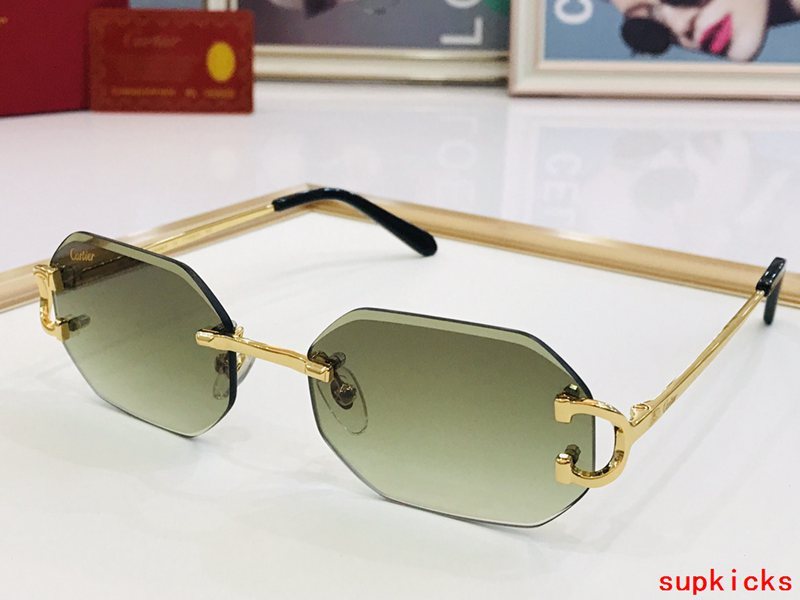 Full view of Cartier unisex sunglasses