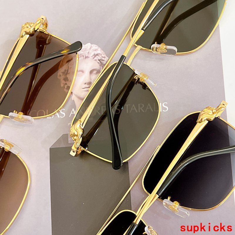 Close-up detail view of Cartier unisex sunglasses
