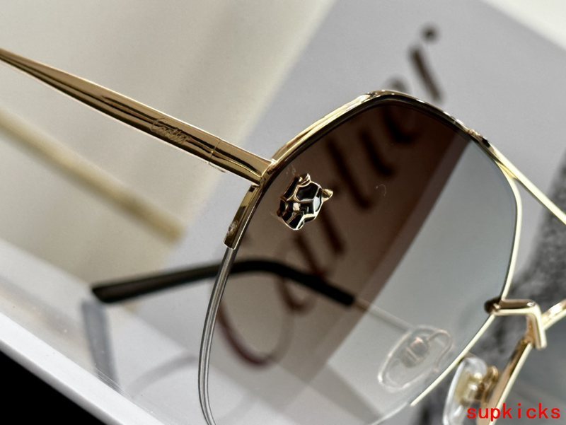 Side view of Cartier unisex sunglasses