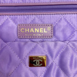  spacious purse view 10